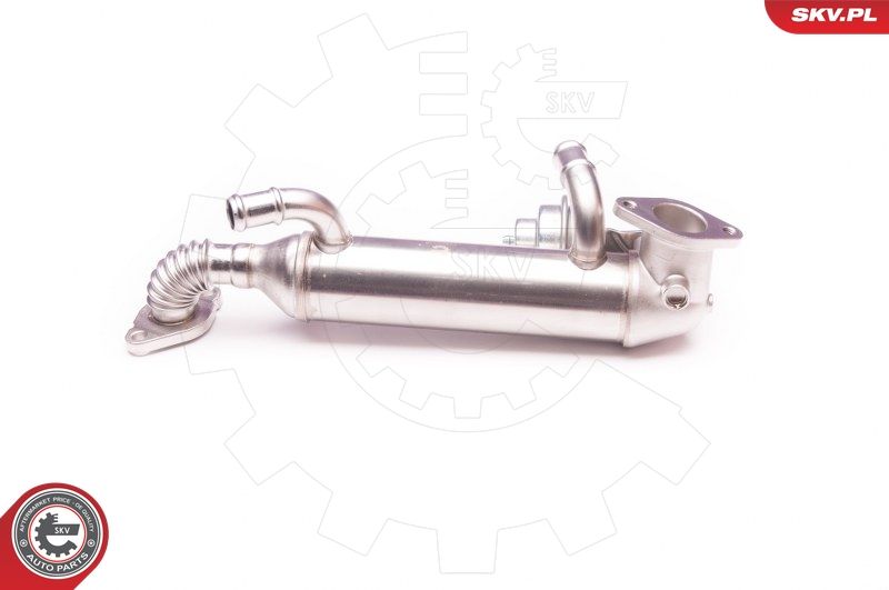 ESEN SKV 14SKV119 EGR Valve