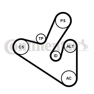Комплект поліклинових ременів, Contitech 6PK1710K1