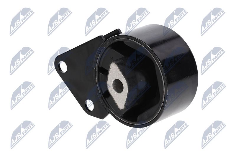 Paigutus, Mootor, NTY ZPS-CH-064