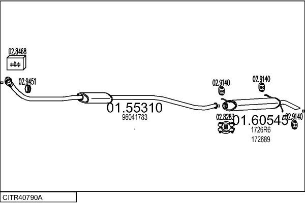 CITR40790A.JPG