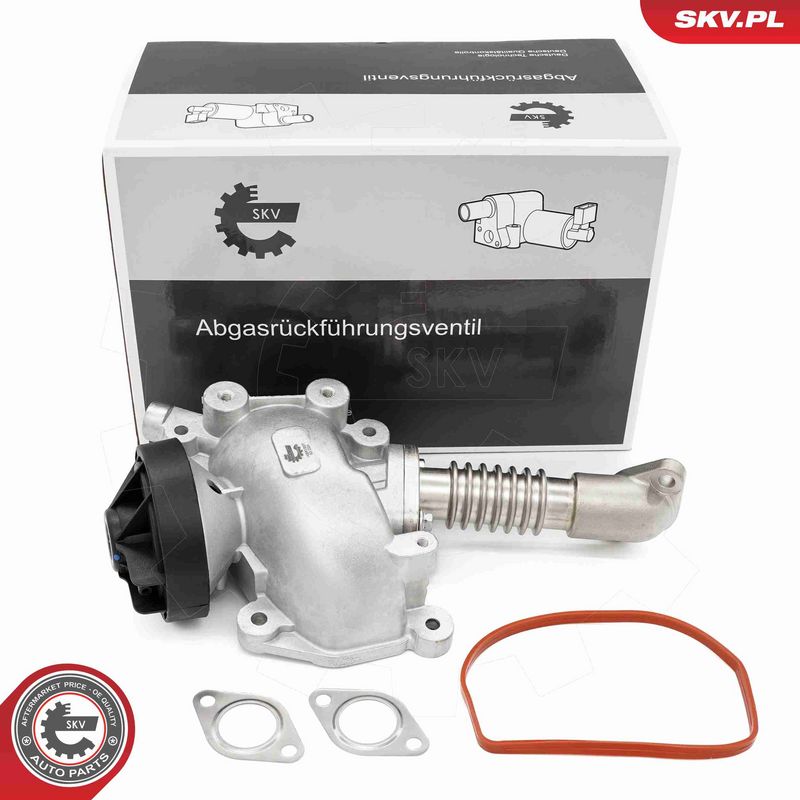 ESEN SKV 14SKV257 - EGR Valve