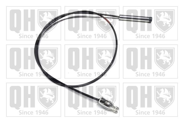 QH_BC3428.JPG