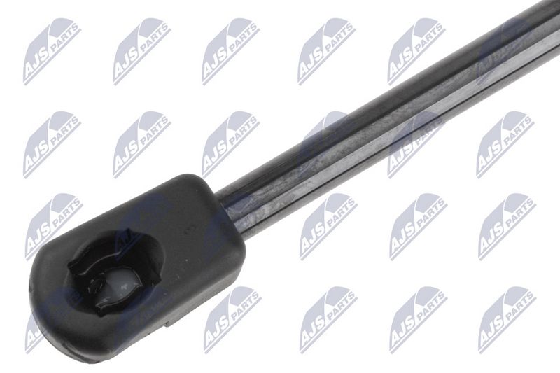 NTY AE-PS-009 Gas Spring, boot/cargo area