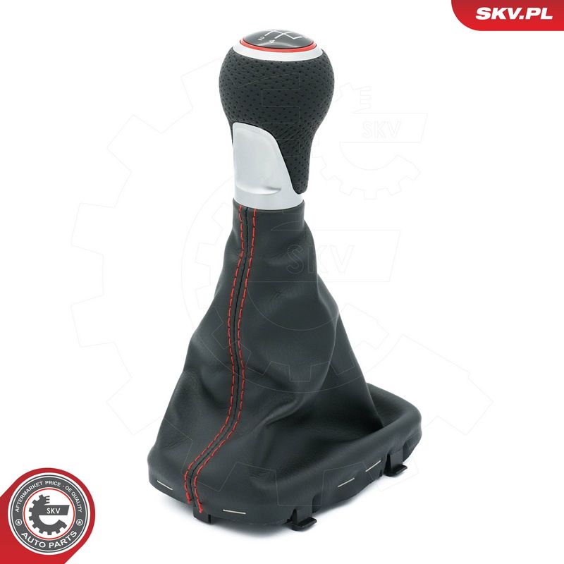 Käigukanginupp, ESEN SKV...