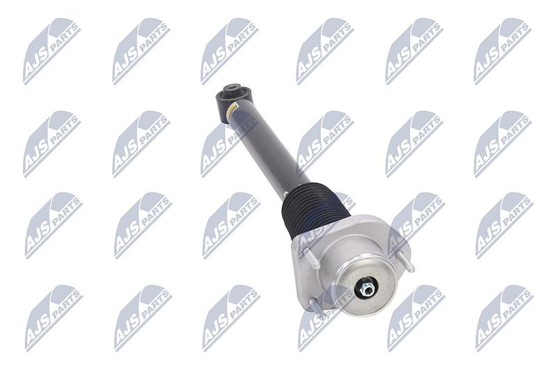 Amort, NTY A-LR-015