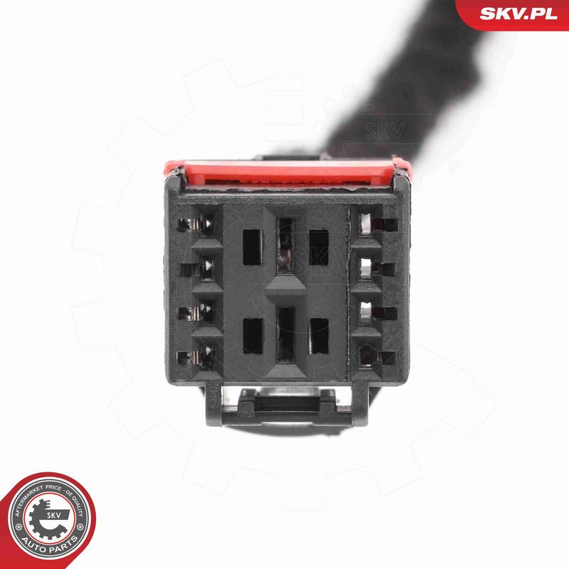 ESEN SKV 52SKV187 Electric Motor, tailgate