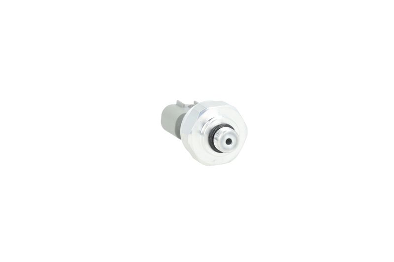 Image 22