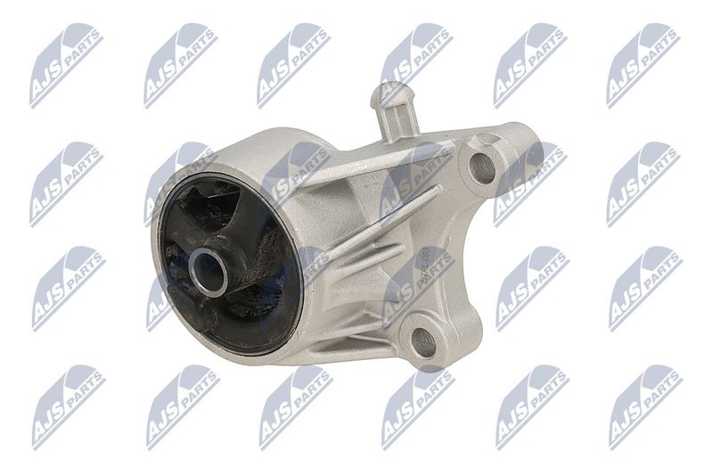 Paigutus, Mootor, NTY ZPS-PL-093