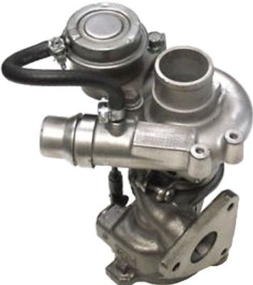 GS440353.JPG
