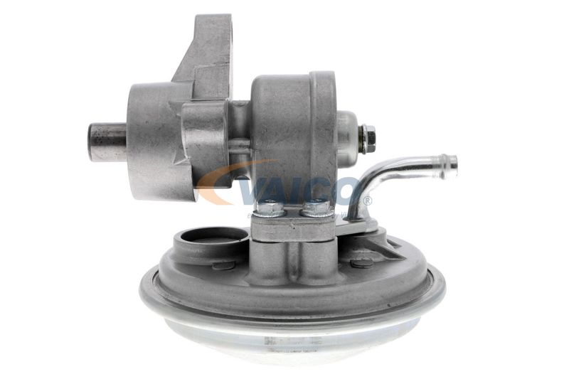 VAICO V25-1908 Mounting, engine
