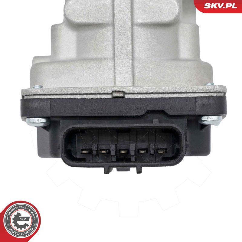 EGR-klapp, ESEN SKV 14SKV294