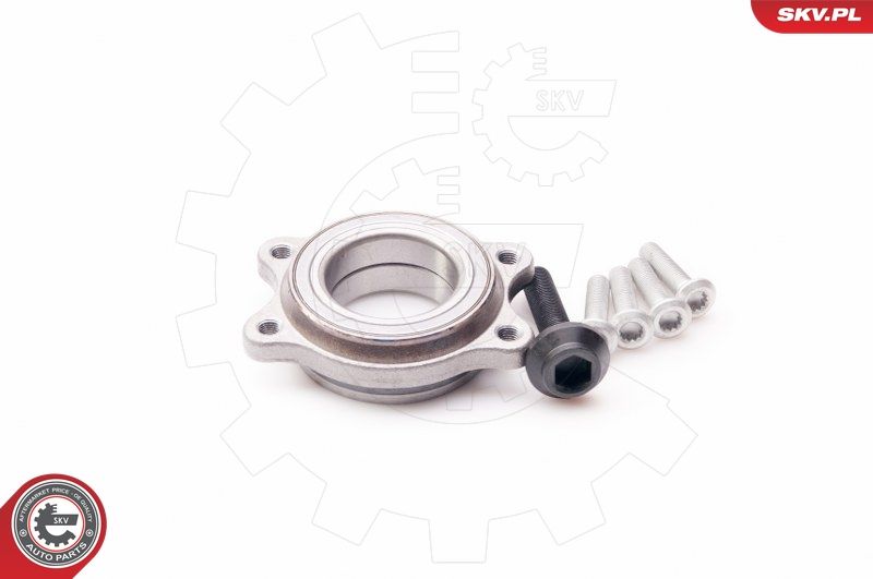 ESEN SKV 29SKV087 Wheel Bearing Kit