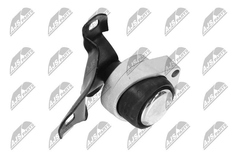 Paigutus, Mootor, NTY ZPS-FR-011