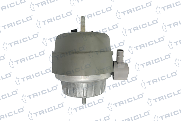 окачване, двигател TRICLO