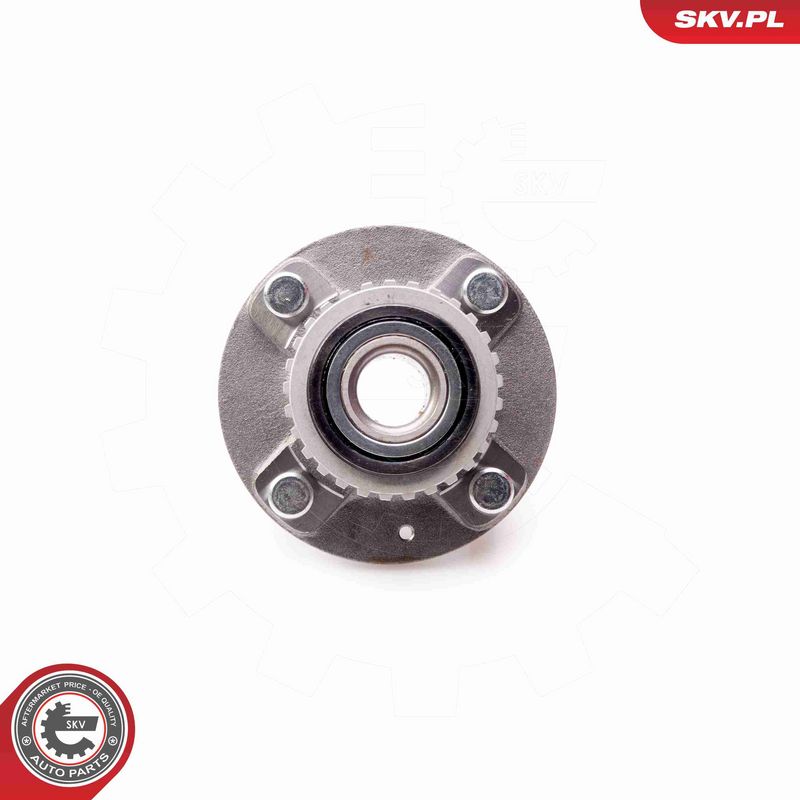 ESEN SKV 29SKV114 Wheel Bearing Kit