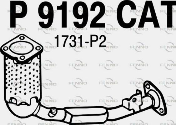 P9192CAT.JPG