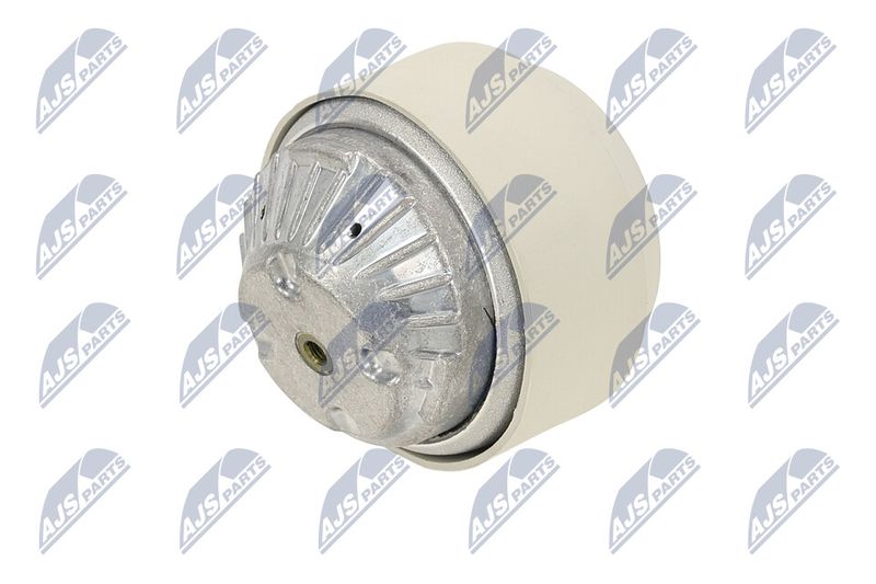 Paigutus, Mootor, NTY ZPS-ME-102