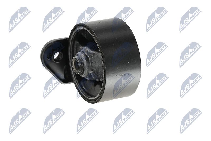 Paigutus, Mootor, NTY ZPS-HY-503