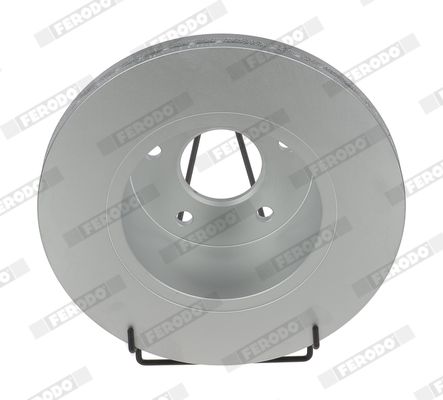 DDF1379C-1_5192634.JPG