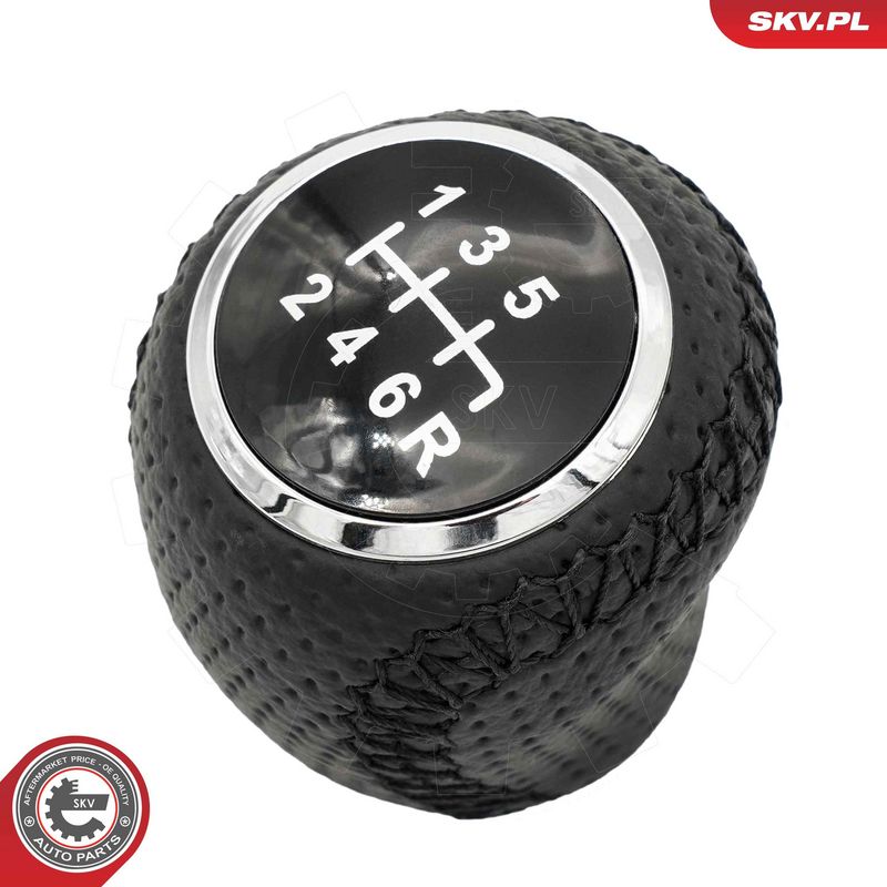 Käigukanginupp, ESEN SKV...