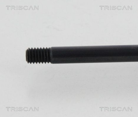 TRIS8710615201250_3.JPG