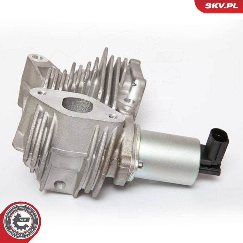ESEN SKV 14SKV036 EGR Valve