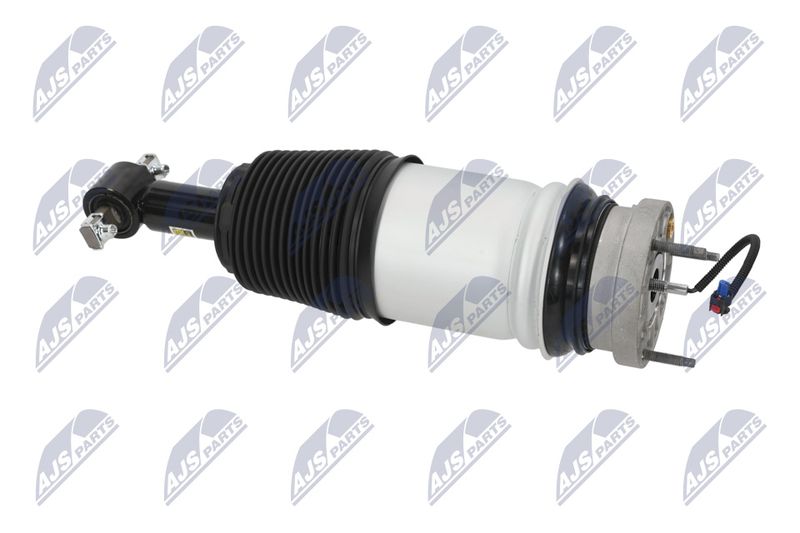 Amort, NTY A-CH-098