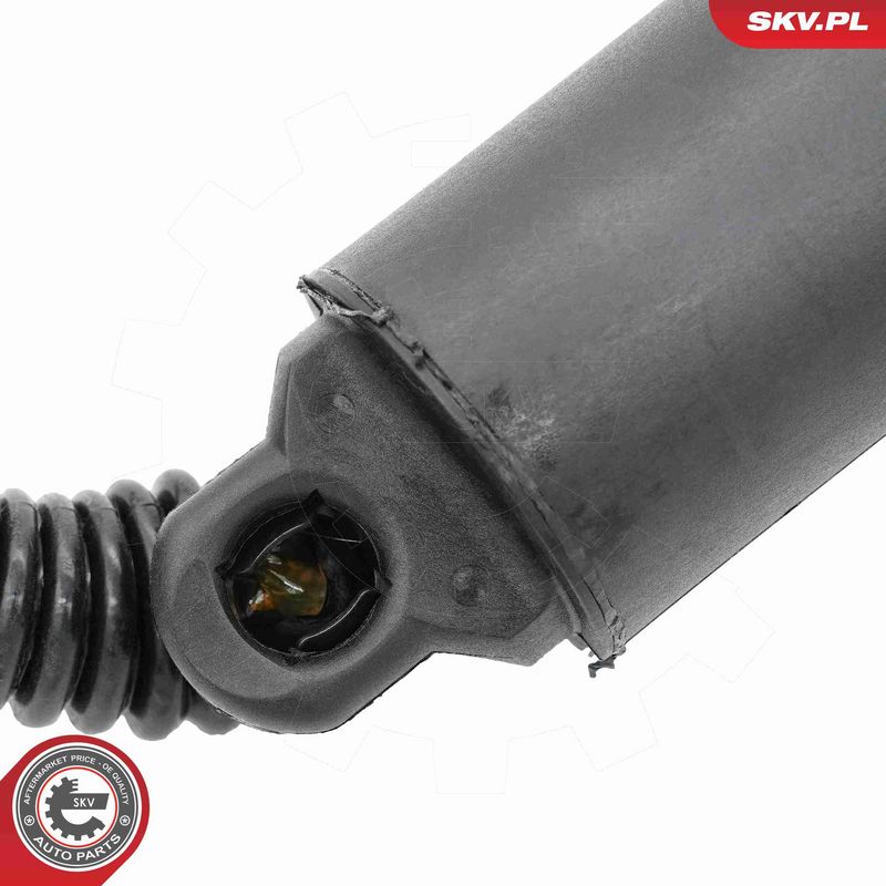 ESEN SKV 52SKV999 Electric Motor, tailgate
