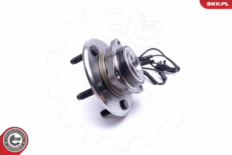 ESEN SKV 29SKV308 Wheel Bearing Kit