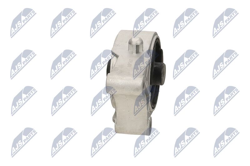 Paigutus, Mootor, NTY ZPS-PL-074