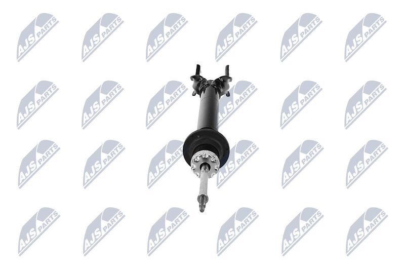 Amort, NTY A-CH-079