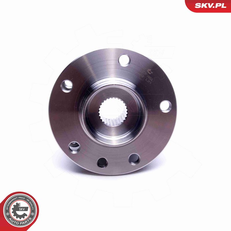 ESEN SKV 29SKV452 Wheel Bearing Kit