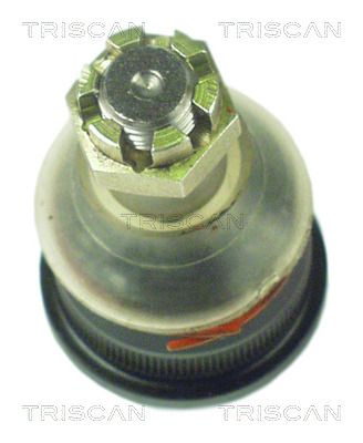 TRIS850024001.JPG