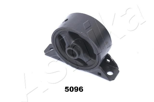 GOM-5096_1.JPG