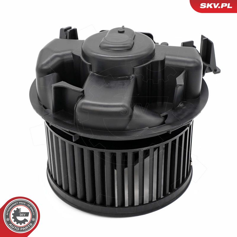 Salongipuhur, ESEN SKV...