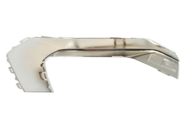 BLIC 6502-07-0048977P Trim/Protection Strip, bumper