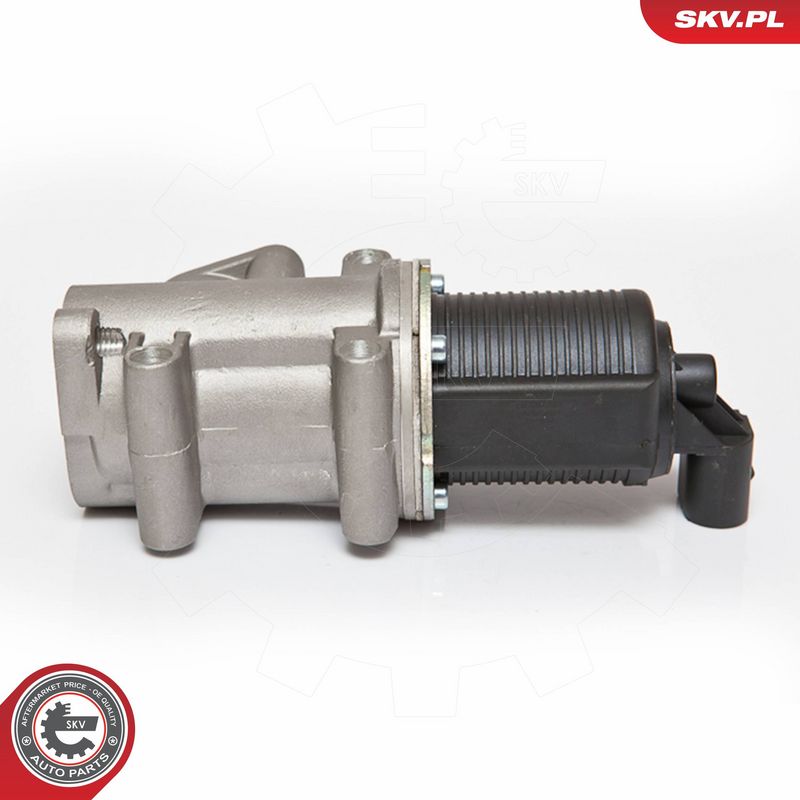 ESEN SKV 14SKV076 EGR Valve