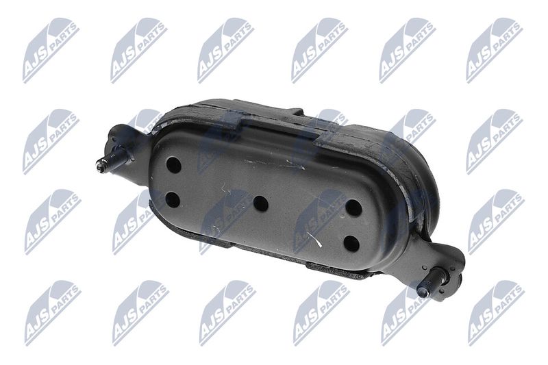 Paigutus, Mootor, NTY ZPS-CH-115