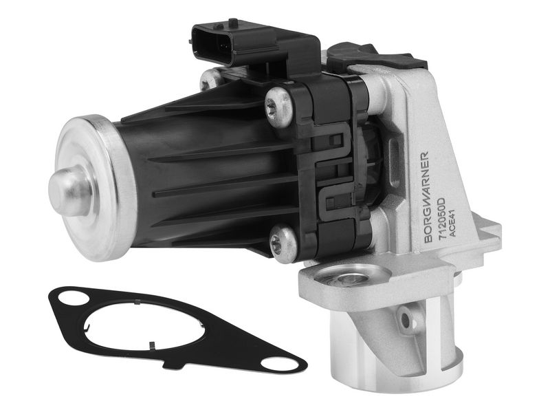 BorgWarner ERG vožtuvas