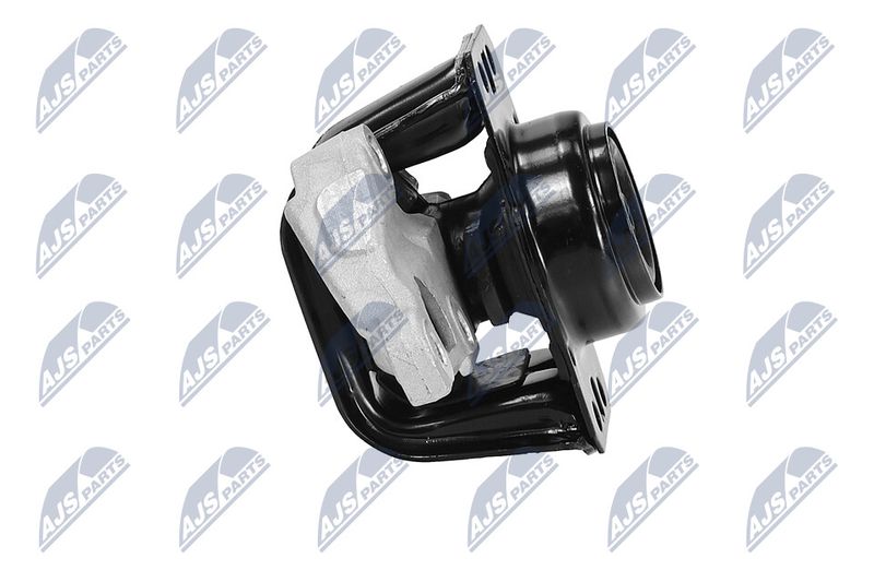 Paigutus, Mootor, NTY ZPS-PE-012