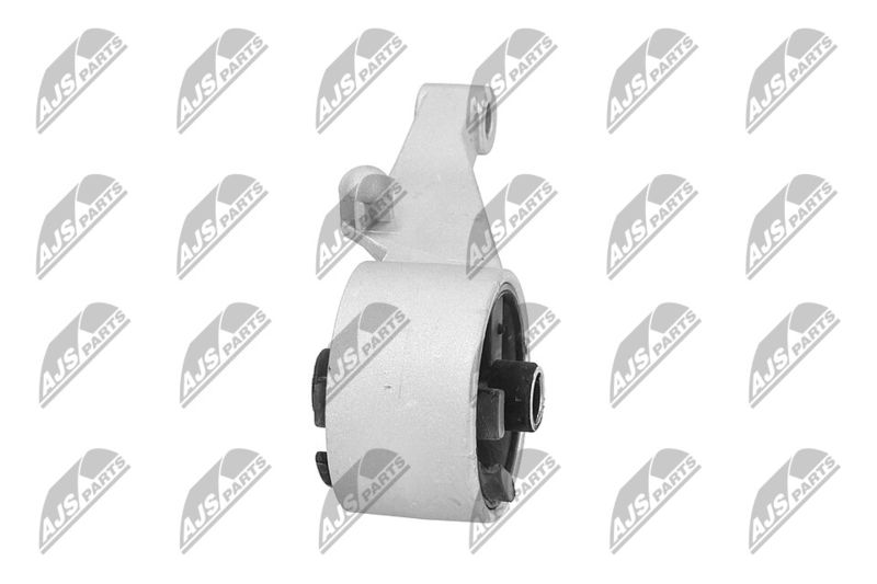 Paigutus, Mootor, NTY ZPS-PL-015