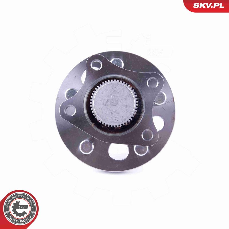 ESEN SKV 29SKV364 Wheel Bearing Kit