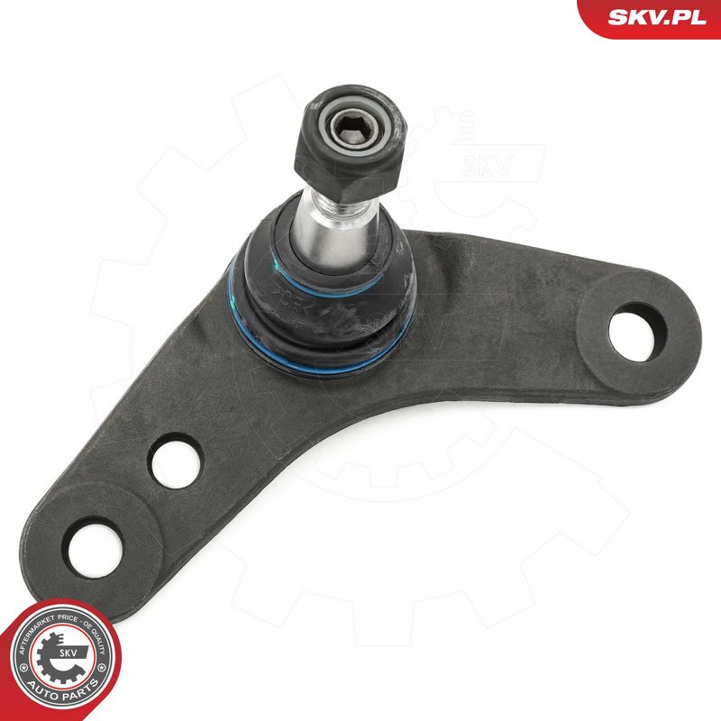 Kande-, juhtliigend, ESEN...