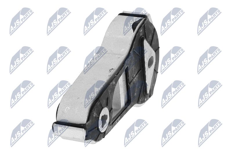 Paigutus, Mootor, NTY ZPS-FR-055