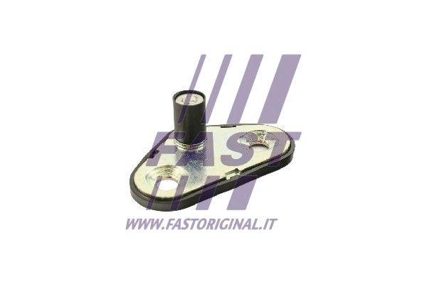 FT95302_1_1.JPG