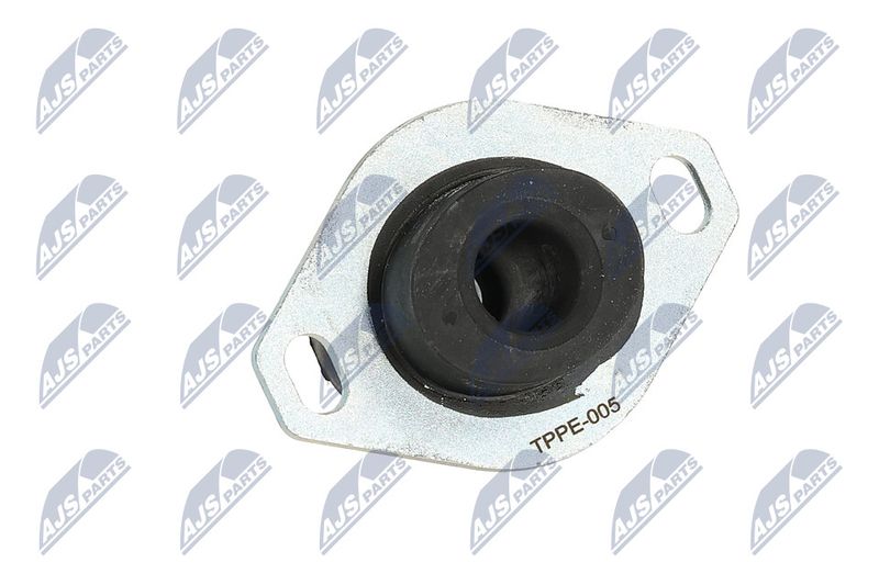 Paigutus, Mootor, NTY ZPS-PE-005