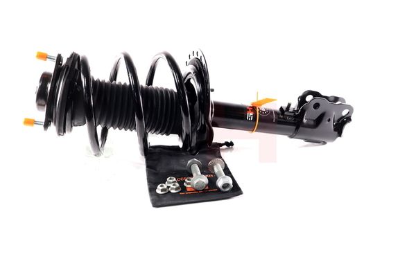 Vedruamort, GH GH-353057C01