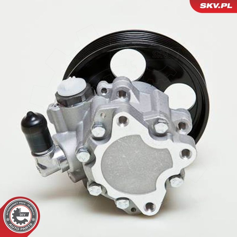 Hüdraulikapump, roolimine, ESEN SKV 10SKV009