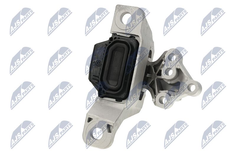 Paigutus, Mootor, NTY ZPS-FR-069