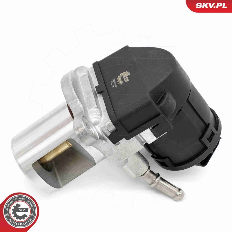 ESEN SKV 14SKV266 EGR Valve